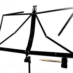 Lights & Accessories