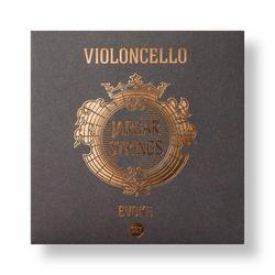 Jargar Evoke Cello String, SET